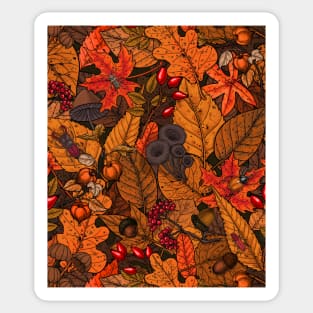 Autumn treasures 1 Sticker